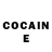 COCAIN Fish Scale Michael Borucki
