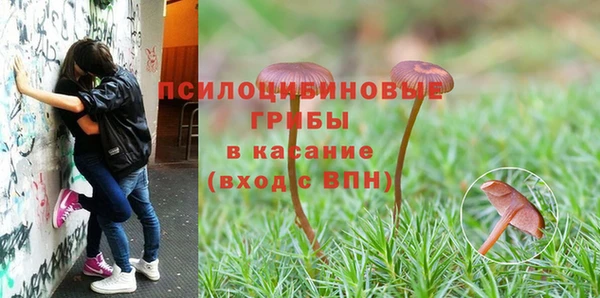 гидропоника Богородицк