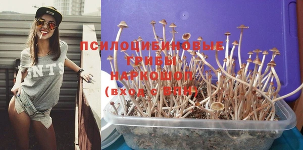 мяу мяу мука Богданович