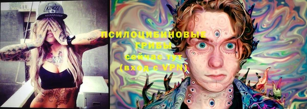 мяу мяу мука Богданович