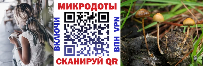 Псилоцибиновые грибы мухоморы  Уфа 